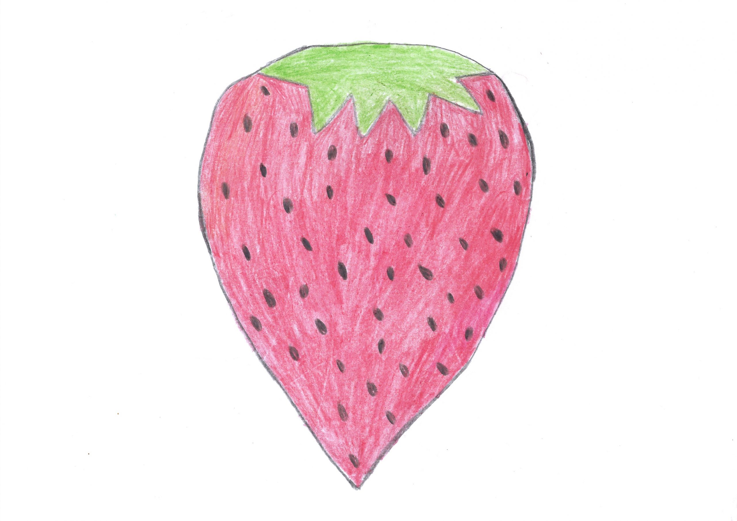 Frutilla — The Strawberry