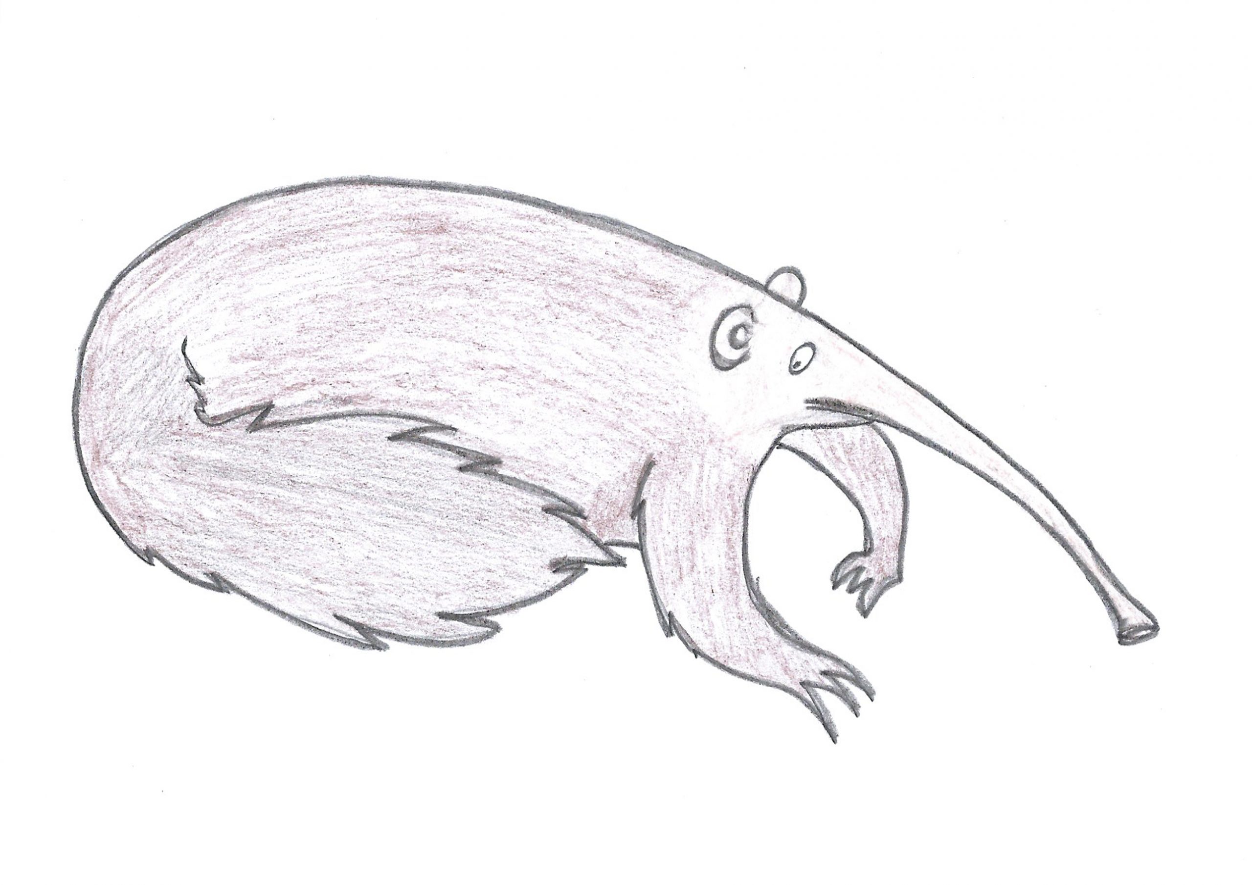 Jurumi — The Anteater