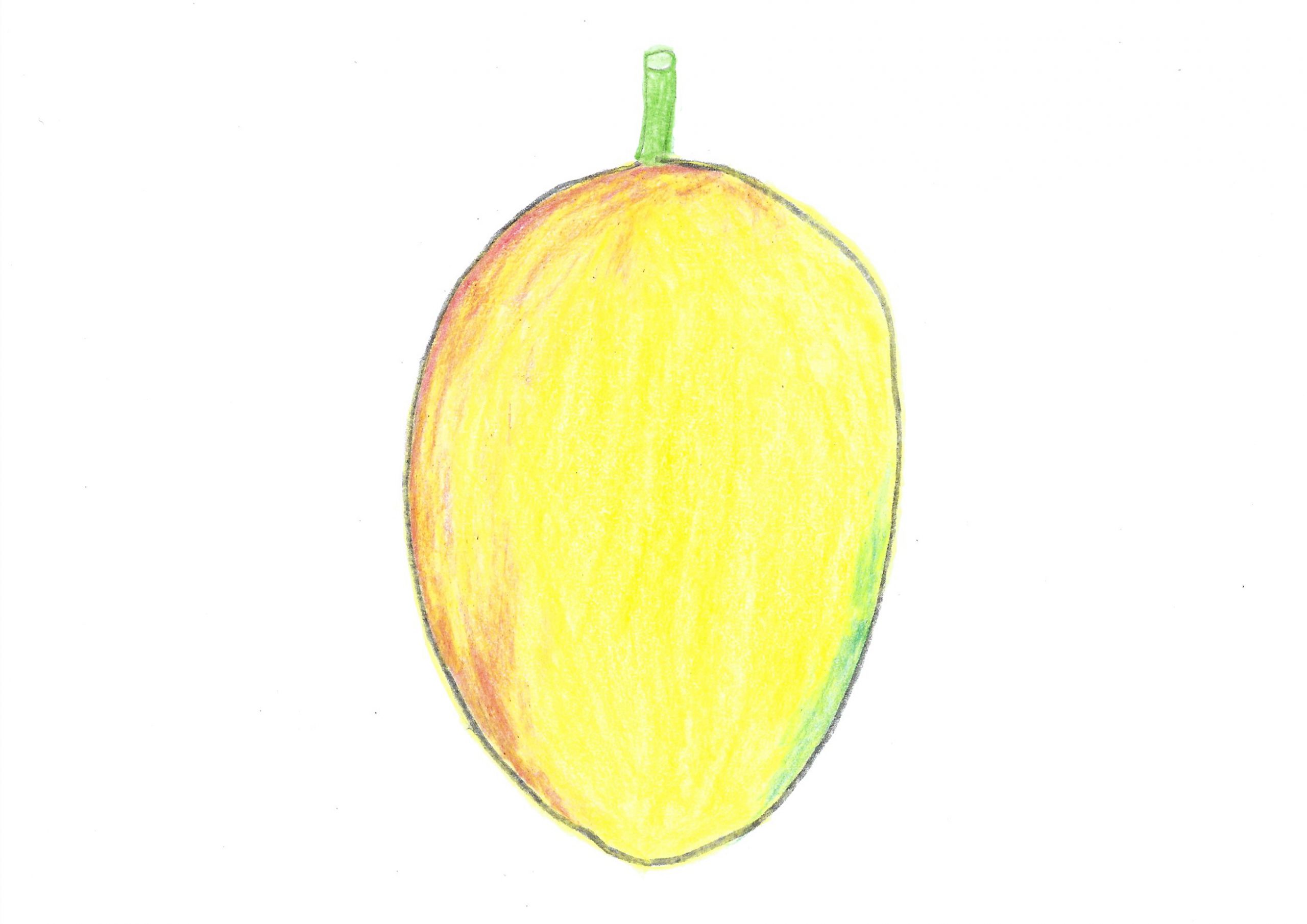 Mango — The mango