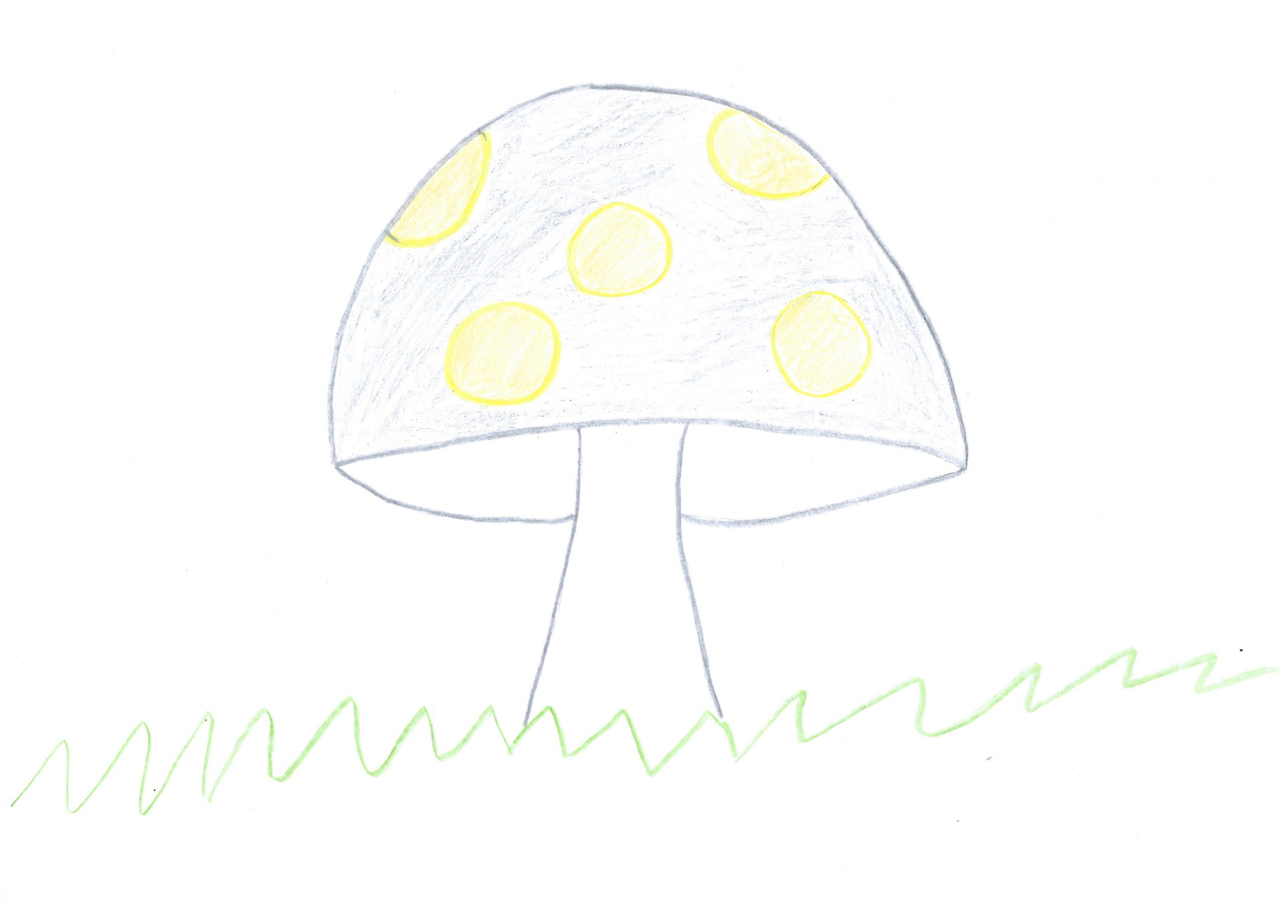 Urupe – The mushroom