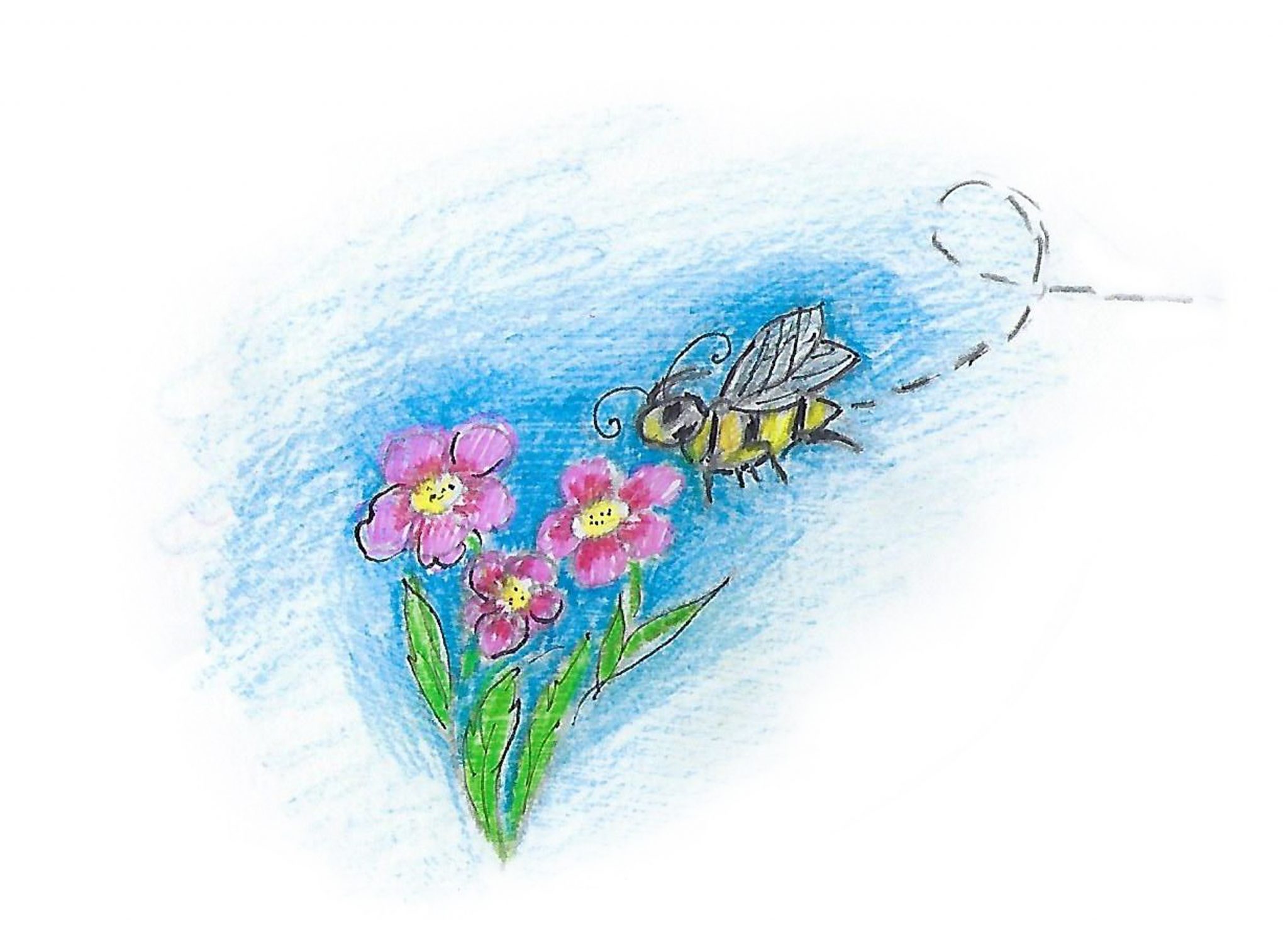 Пчела ищет цветы. — The bee searches for flowers.