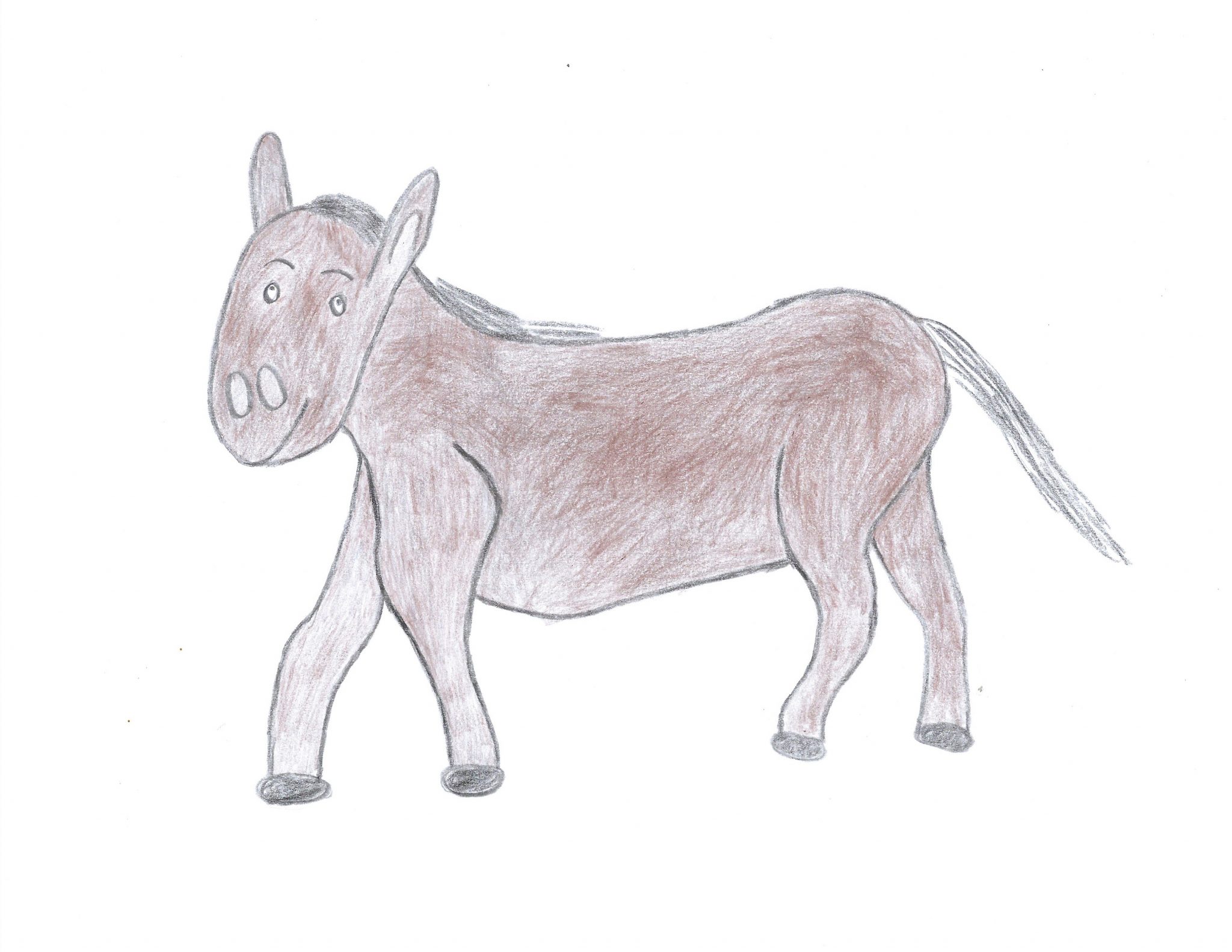 Búrro ― The Donkey